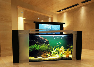 pop up tv